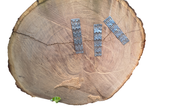 Zdjęcie poglądowe taśmy brakarskiej z kolcami – układ kolców do ochrony czół drewna